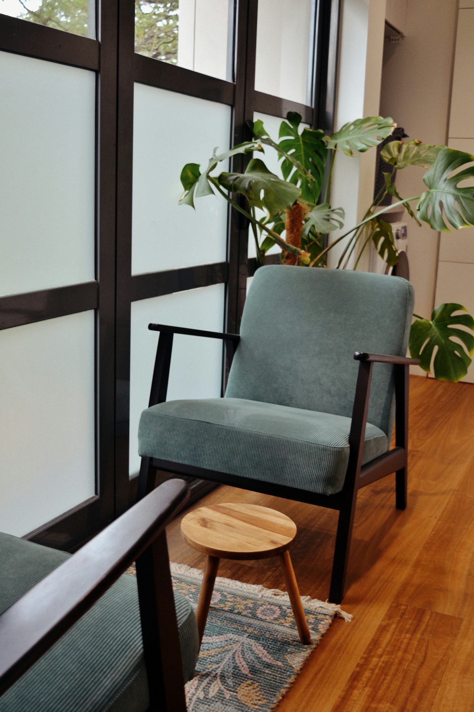 A quiet counseling room chair with plants and soft natural light.